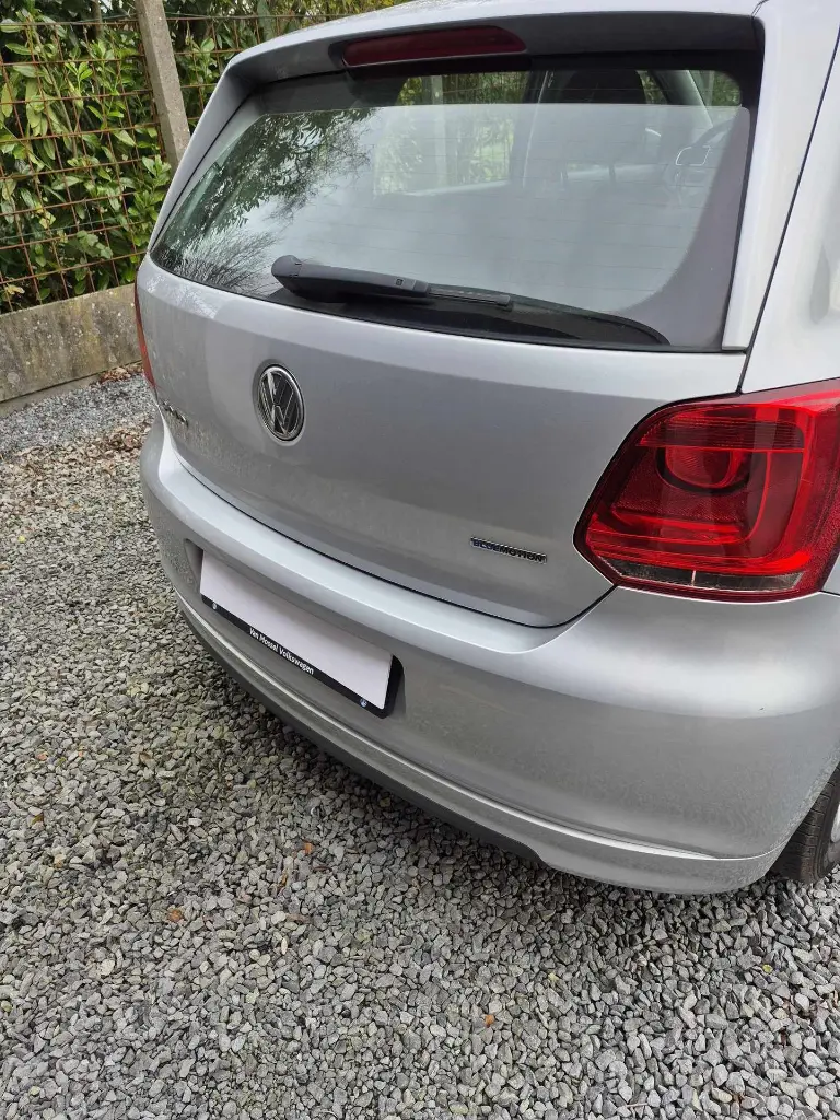polo6.webp