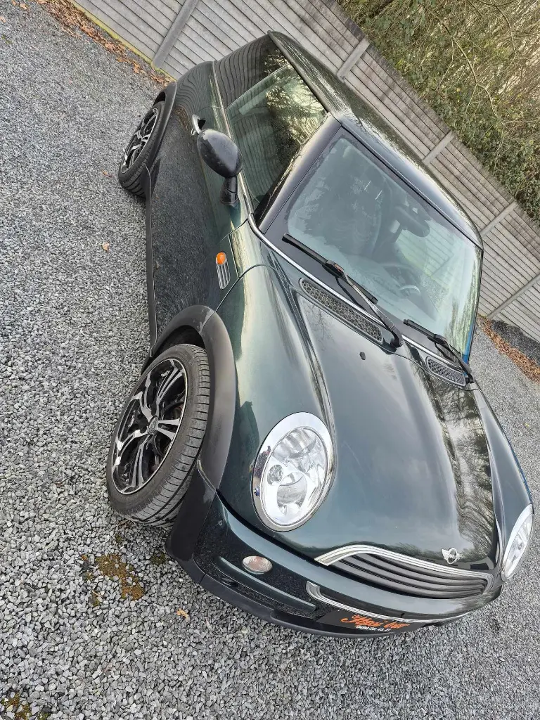 MINI20.webp