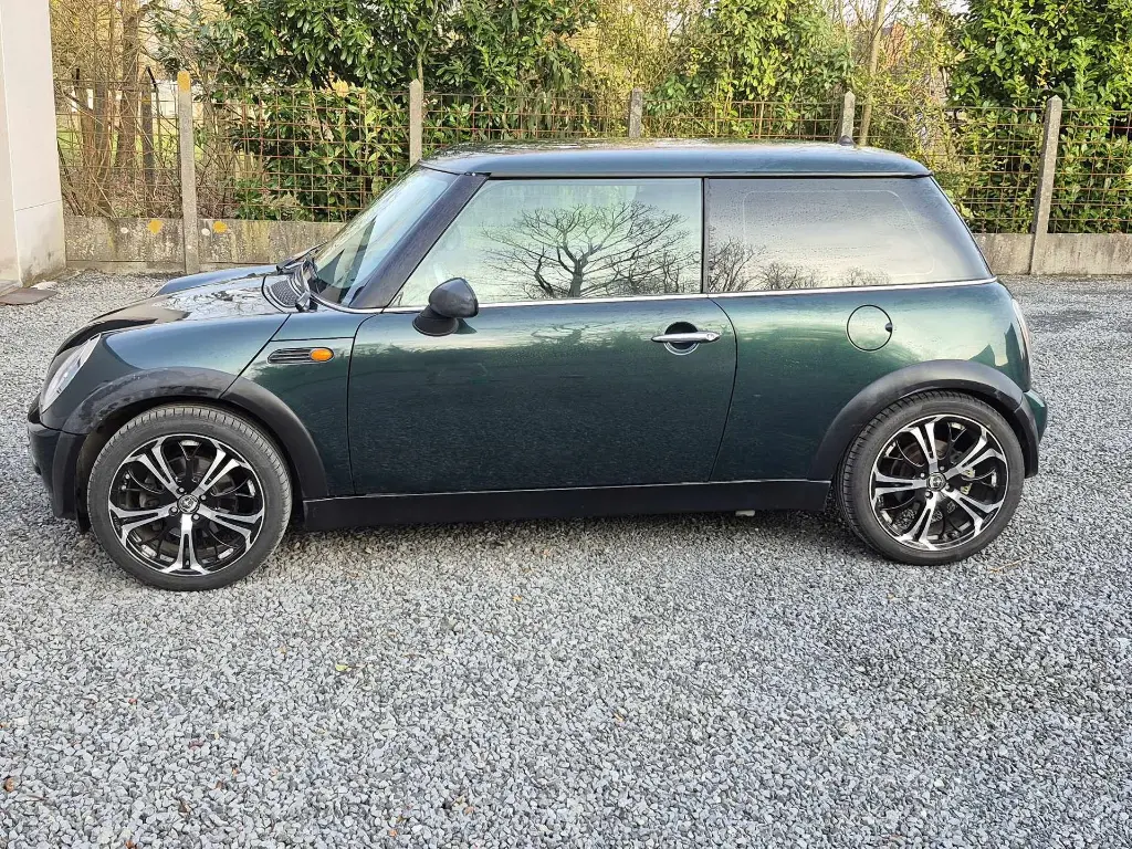 MINI15.webp