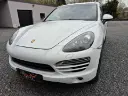 P11.webp