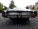 292701164_10228744850950980_6808272606137473006_n.webp