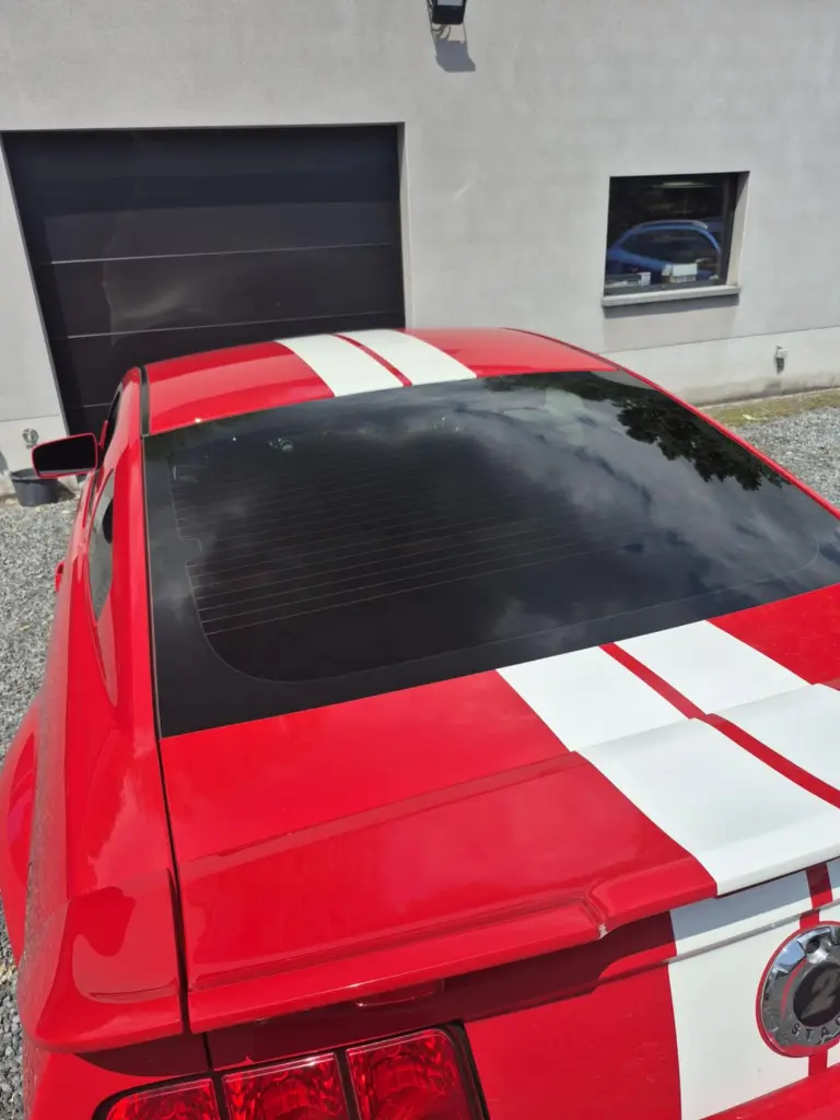 dac3bff4-90e1-4e4e-a52f-bdc4905a74a1 (1).webp